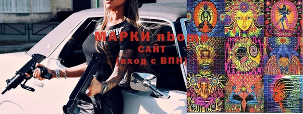 прущие грибы Балахна