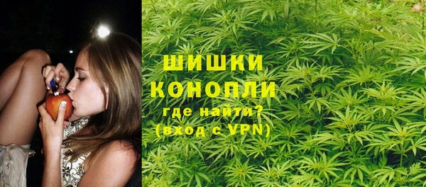 прущие грибы Балахна