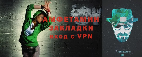 прущие грибы Балахна