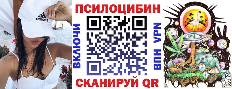 Галлюциногенные грибы Psilocybe  Ленск 